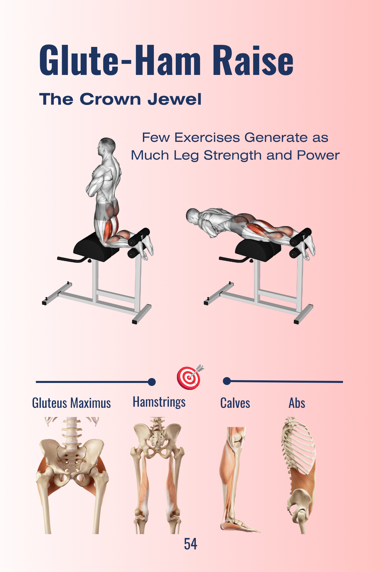 Glute-Ham Raise.png