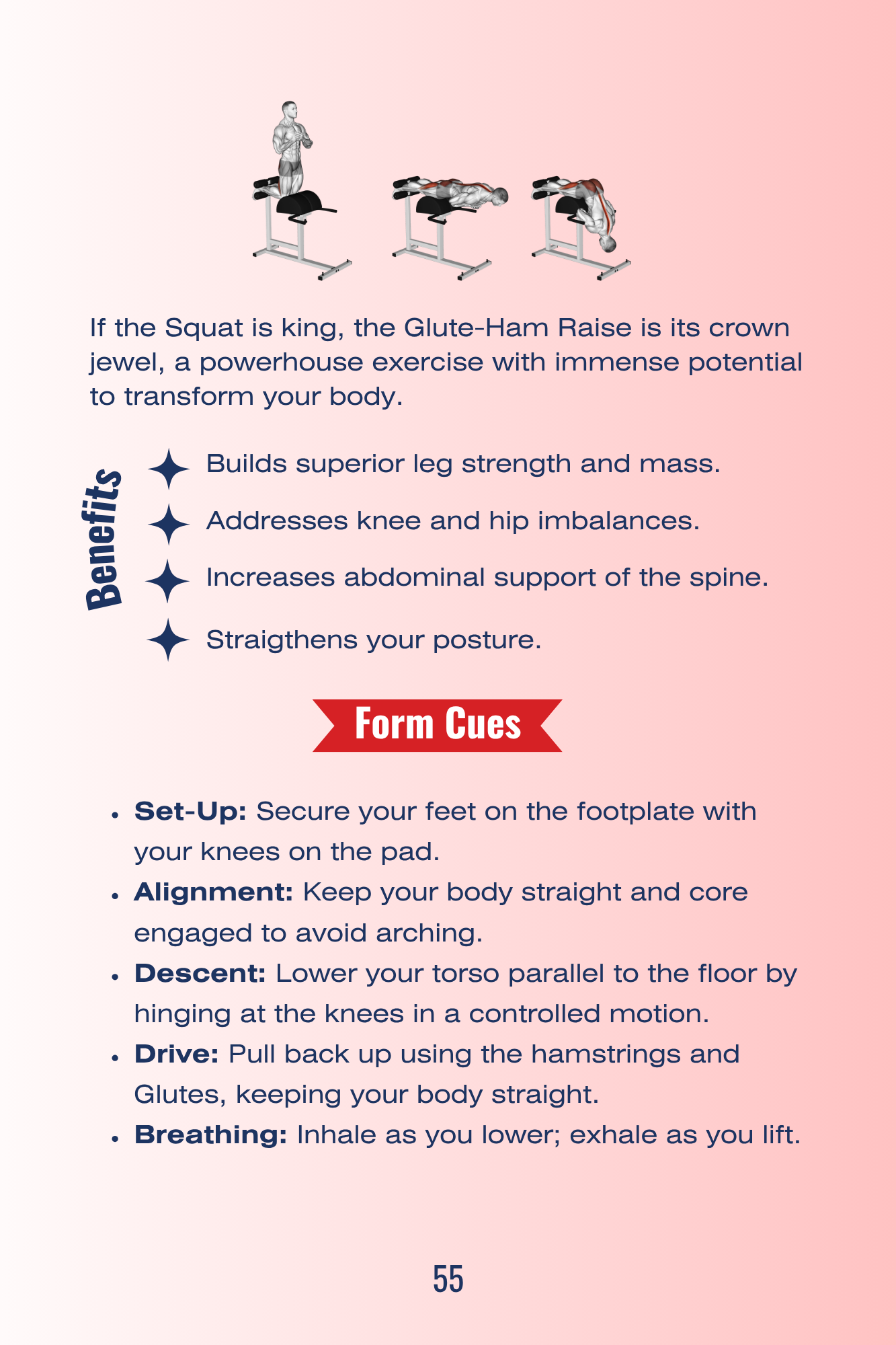 Glute-Ham Raise Description.png