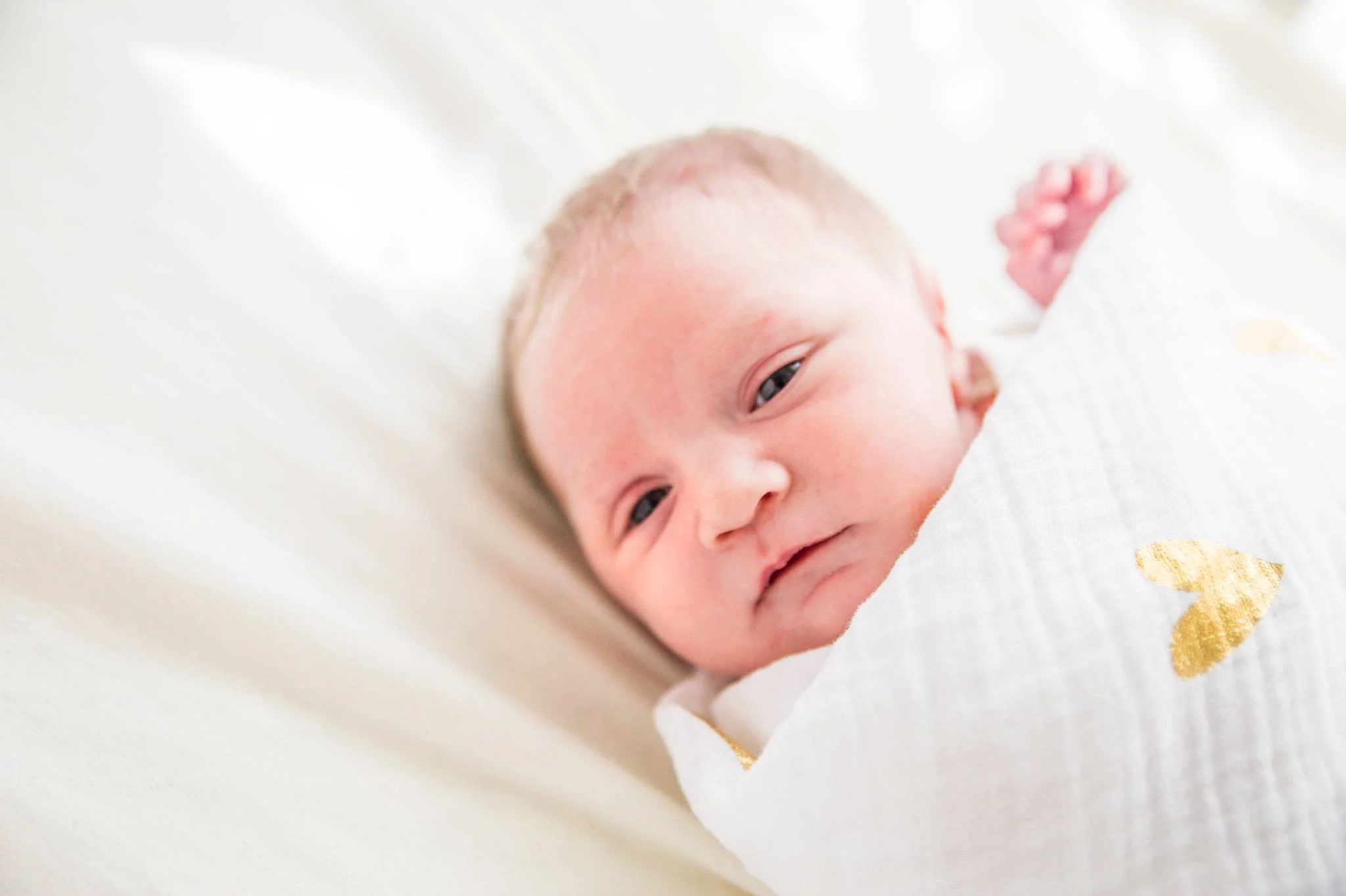 newborn 4.jpg