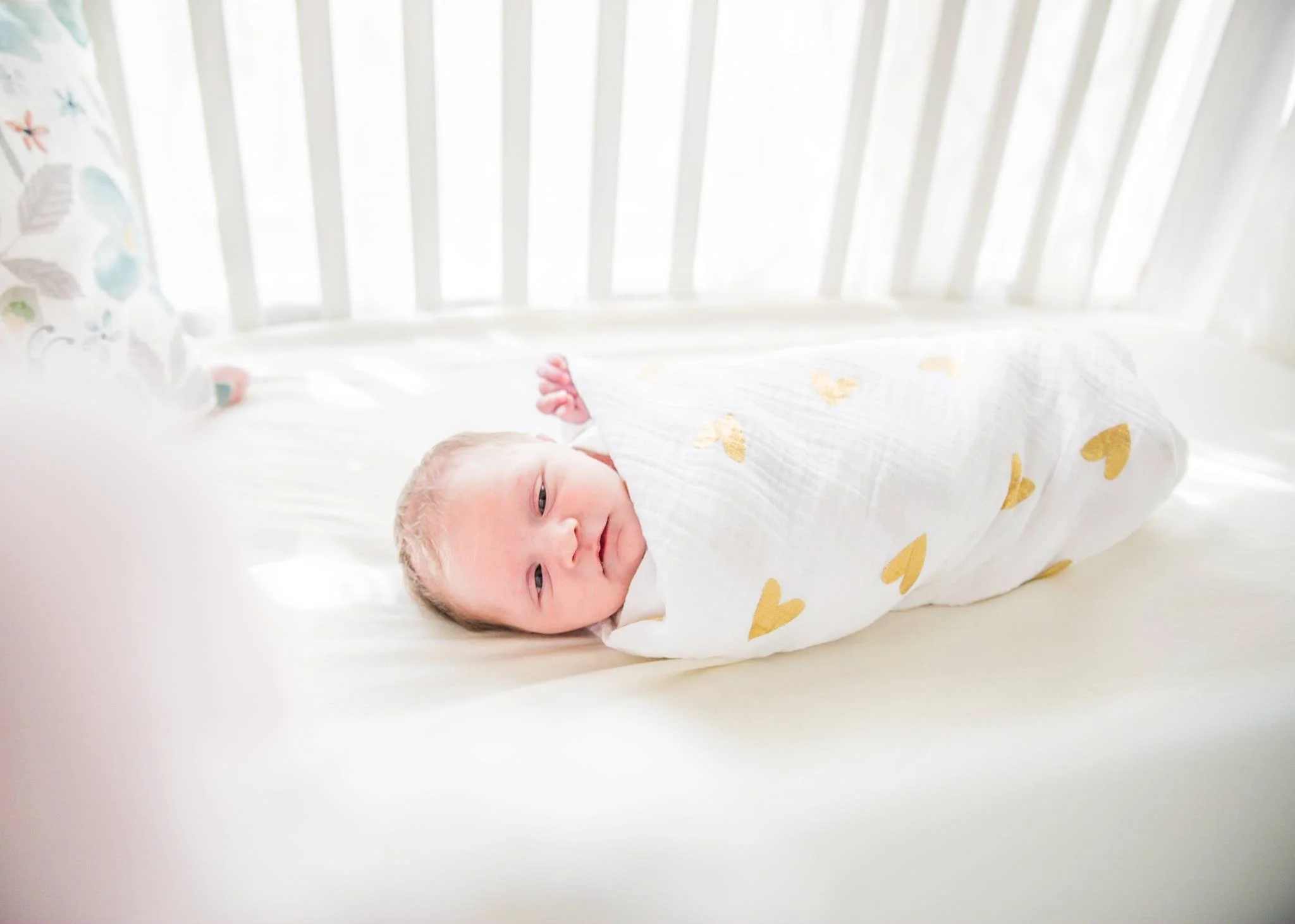 newborn 2.jpg