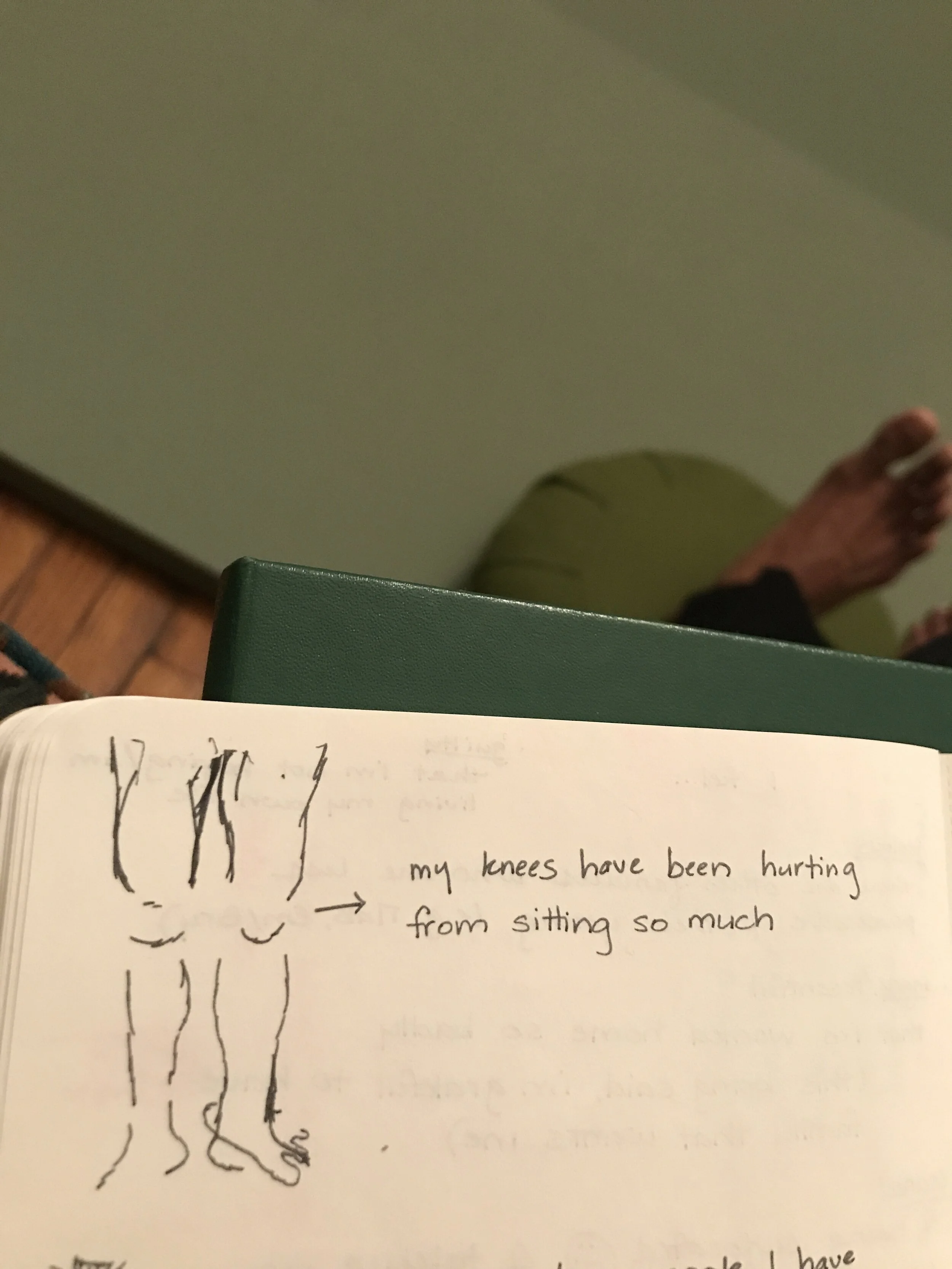  Spring 2020: my knees hurt 