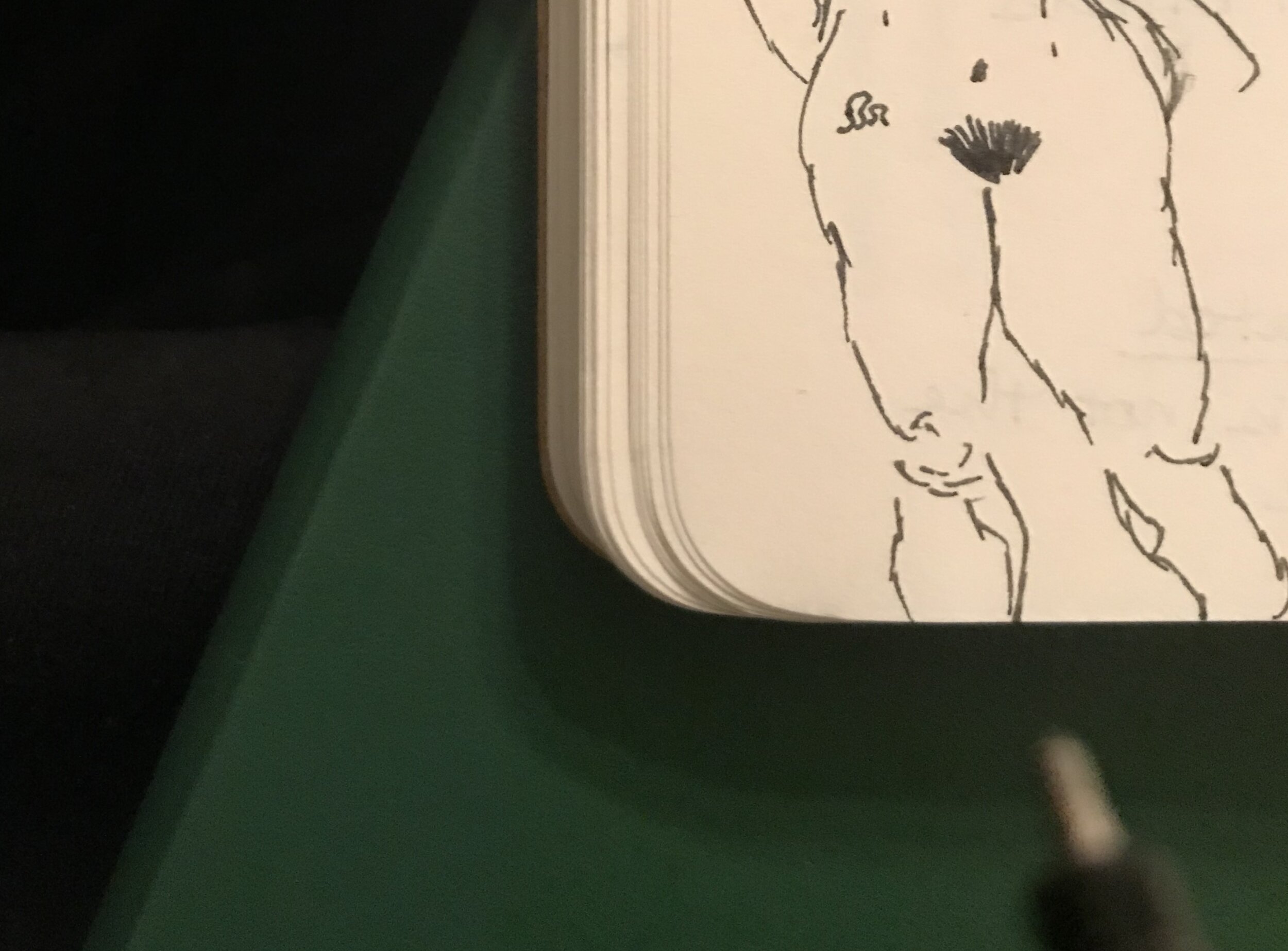  Spring 2020: learning to draw with more specificity; knee pain 
