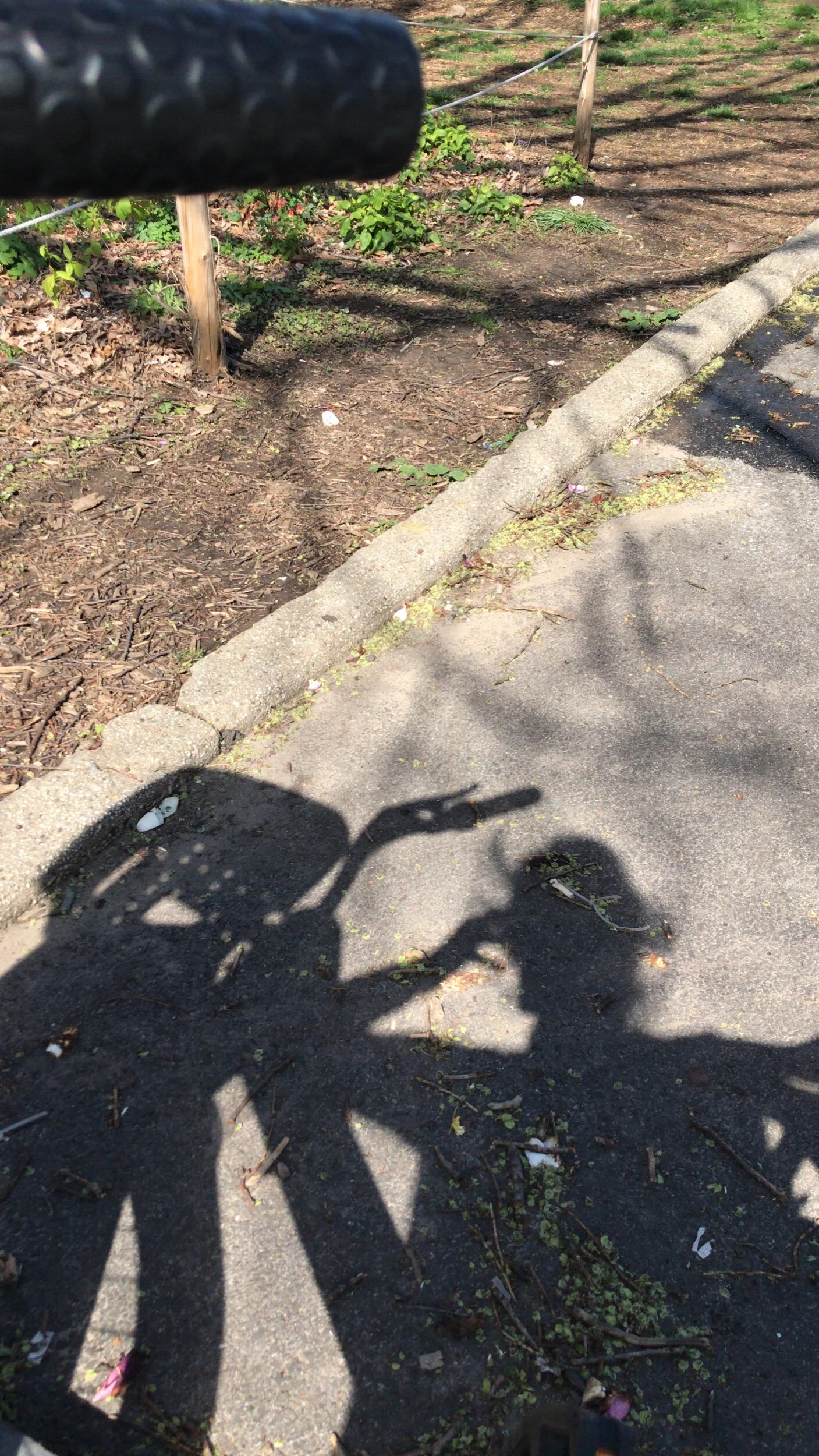  Spring 2020: 12-mile bike rides, crushing hills in Prospect Park 