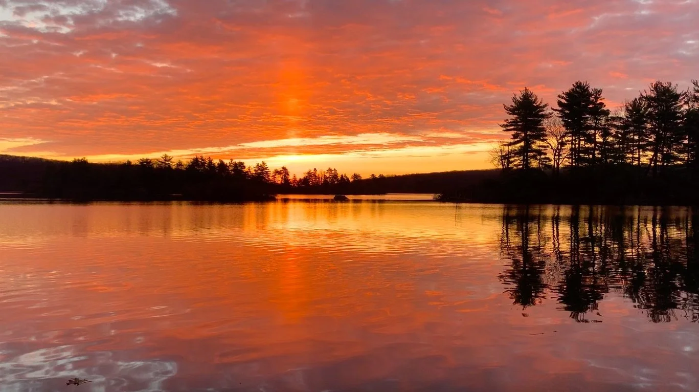 Screen Shot 2021-02-27 at 7.58.06 AM.jpg