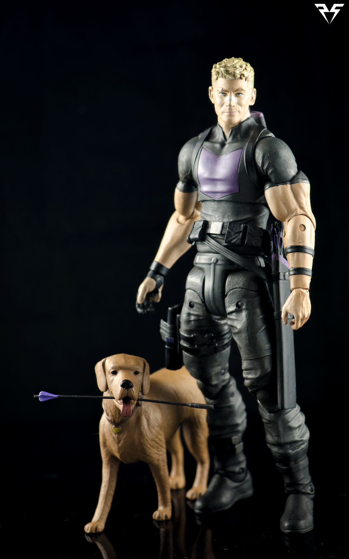 Hawkeye+Lucky