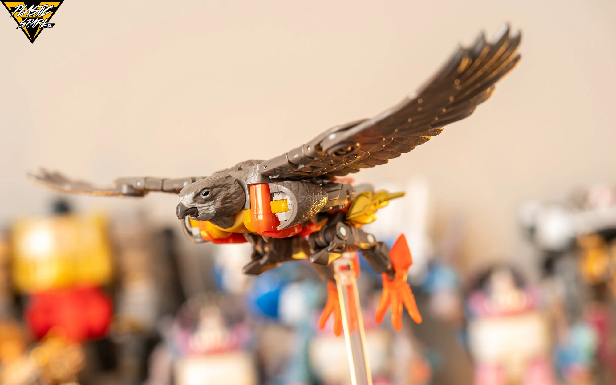 Gallery Kingdom Airazor — Plastic Spark Photography