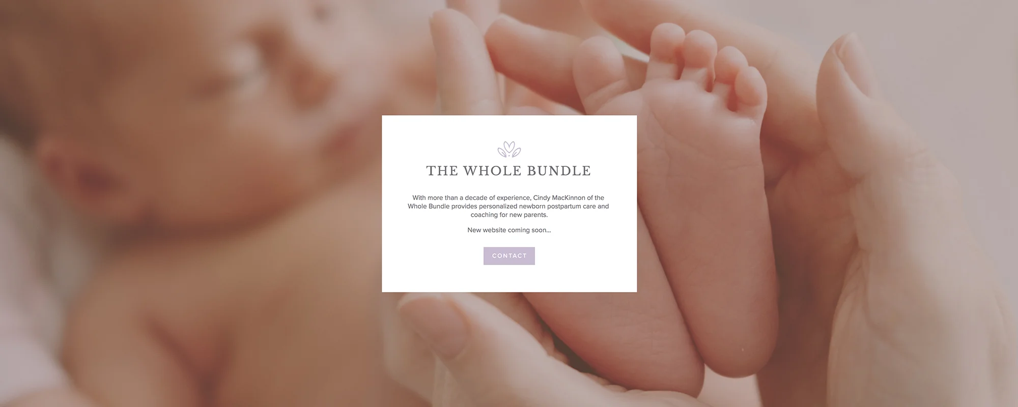 WholeBundle-ComingSoon.jpg