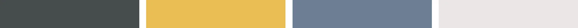 LizGoodman-Colors.jpg