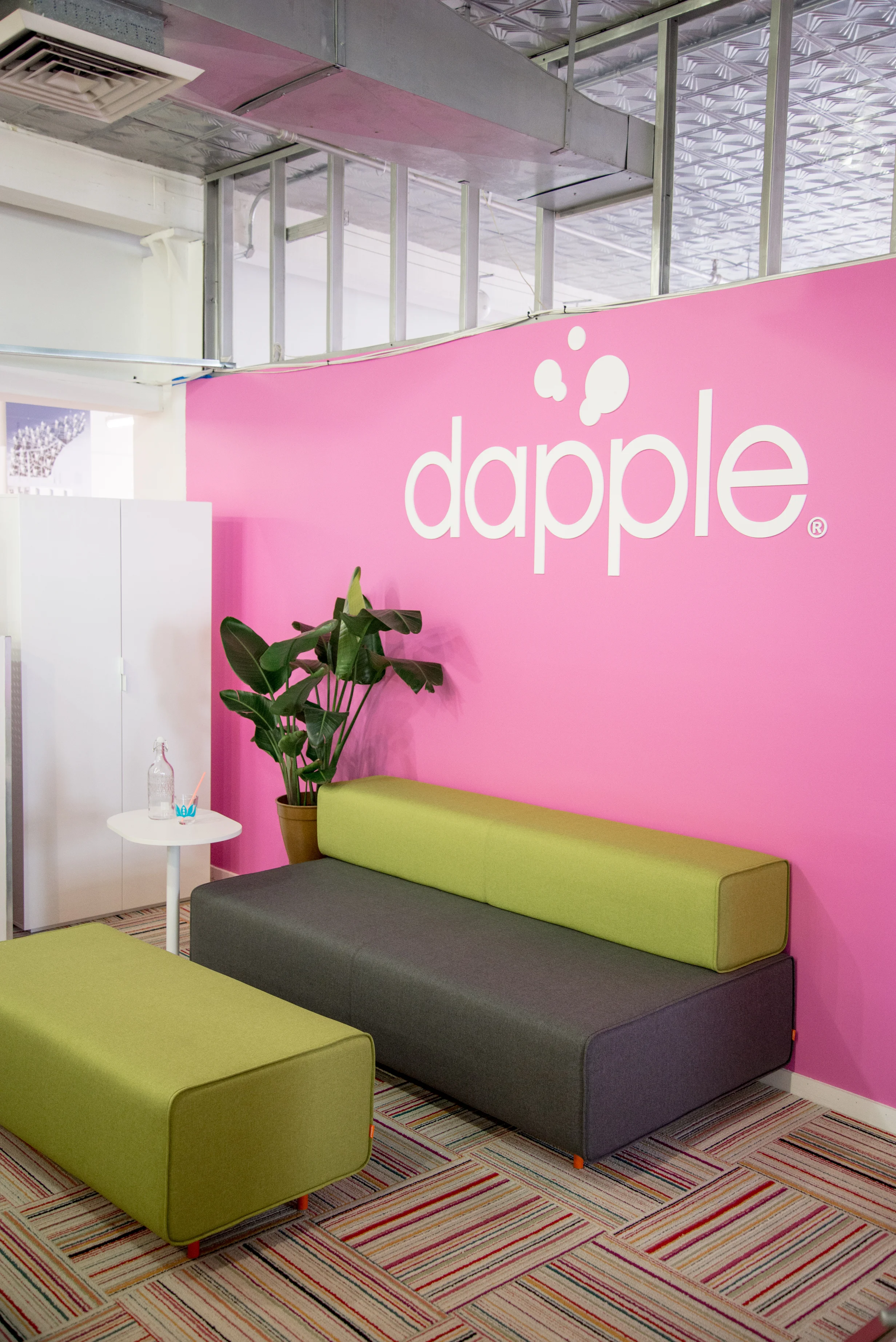 Dapple-6.jpg