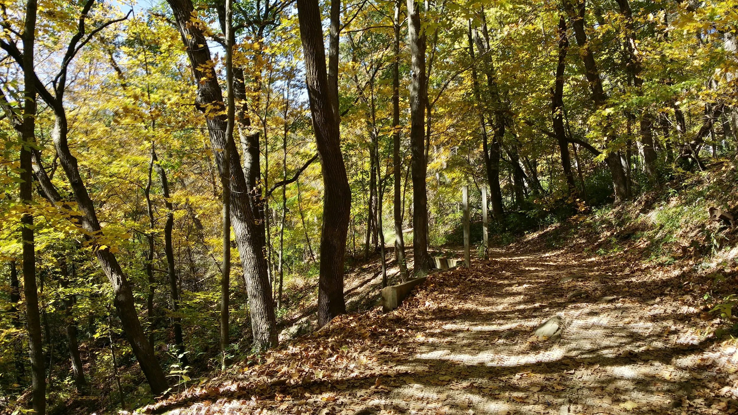Starved Rock Color Tour