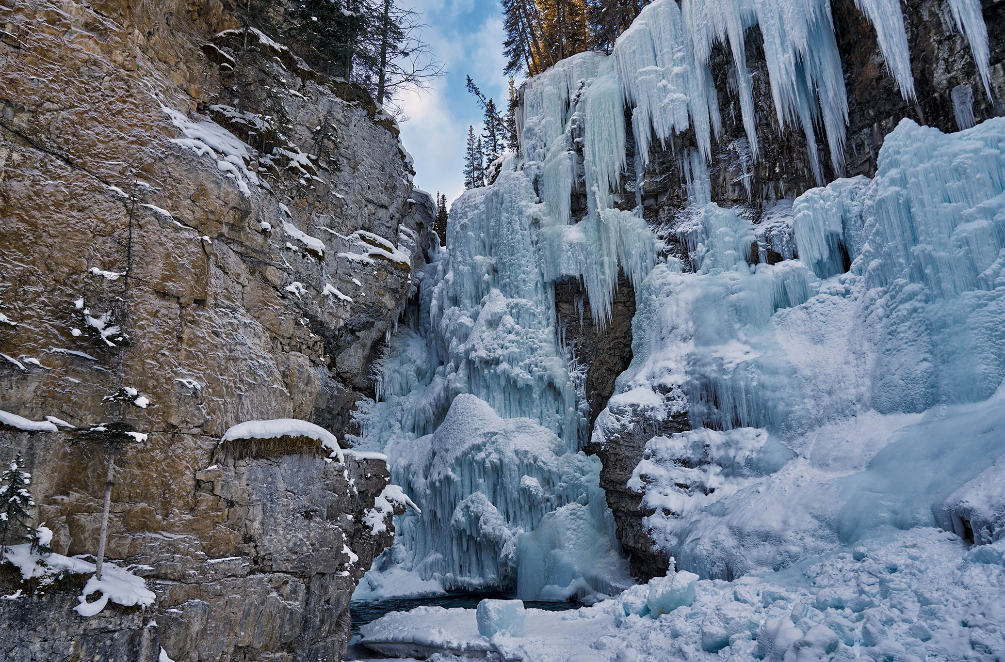 Why Choose Tour Services Inc?