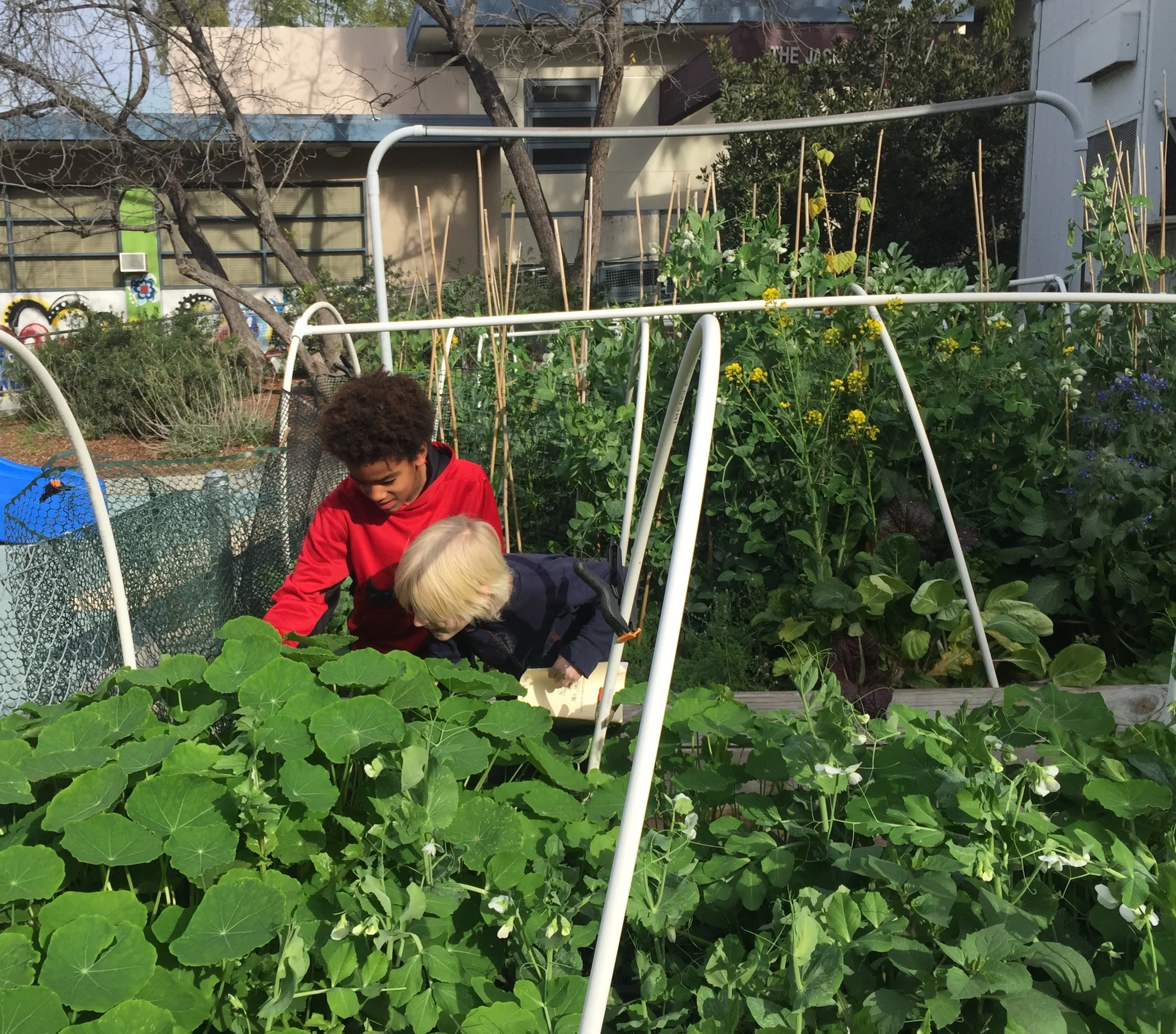 January Board Meeting