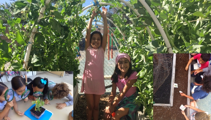 edible-school-garden-visit-blog.png