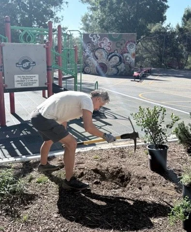 Screenshot 2025-11-12 at 10.37.48 PM.png.jpeg