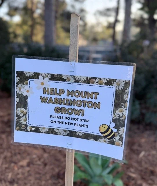 Screenshot 2025-11-12 at 9.18.24 PM.png.jpeg