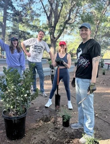 Screenshot 2025-11-12 at 10.38.37 PM.png.jpeg