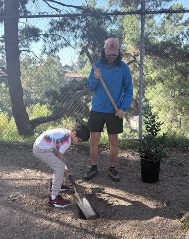 Screenshot 2025-11-12 at 10.38.17 PM.png.jpeg