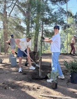 Screenshot 2025-11-12 at 10.38.09 PM.png.jpeg