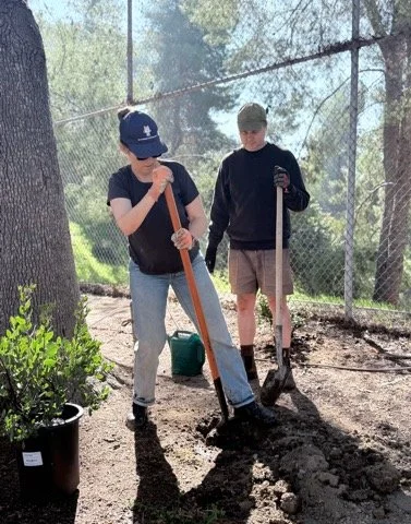 Screenshot 2025-11-12 at 10.37.57 PM.png.jpeg