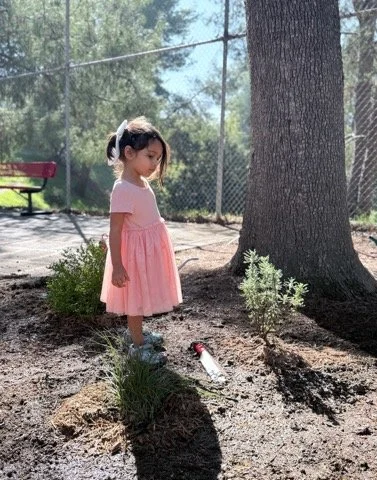 Screenshot 2025-11-12 at 10.36.19 PM.png.jpeg