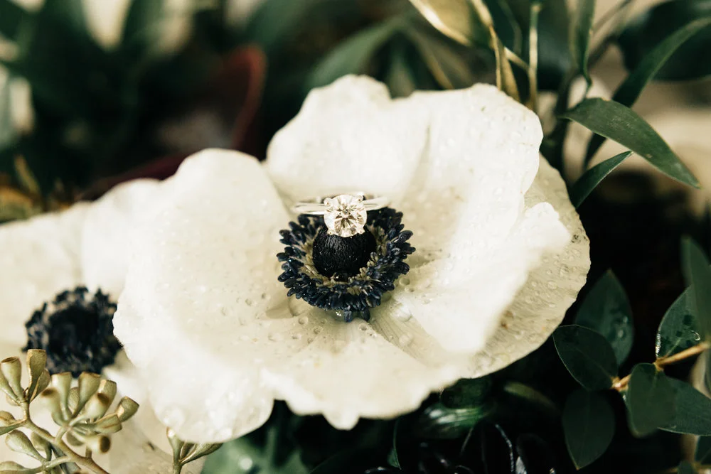 Orlando-Wedding-Photographer_Noahs-Event-Venue-Wedding_Giana-and-Jeff_Orlando-FL_0034.jpg