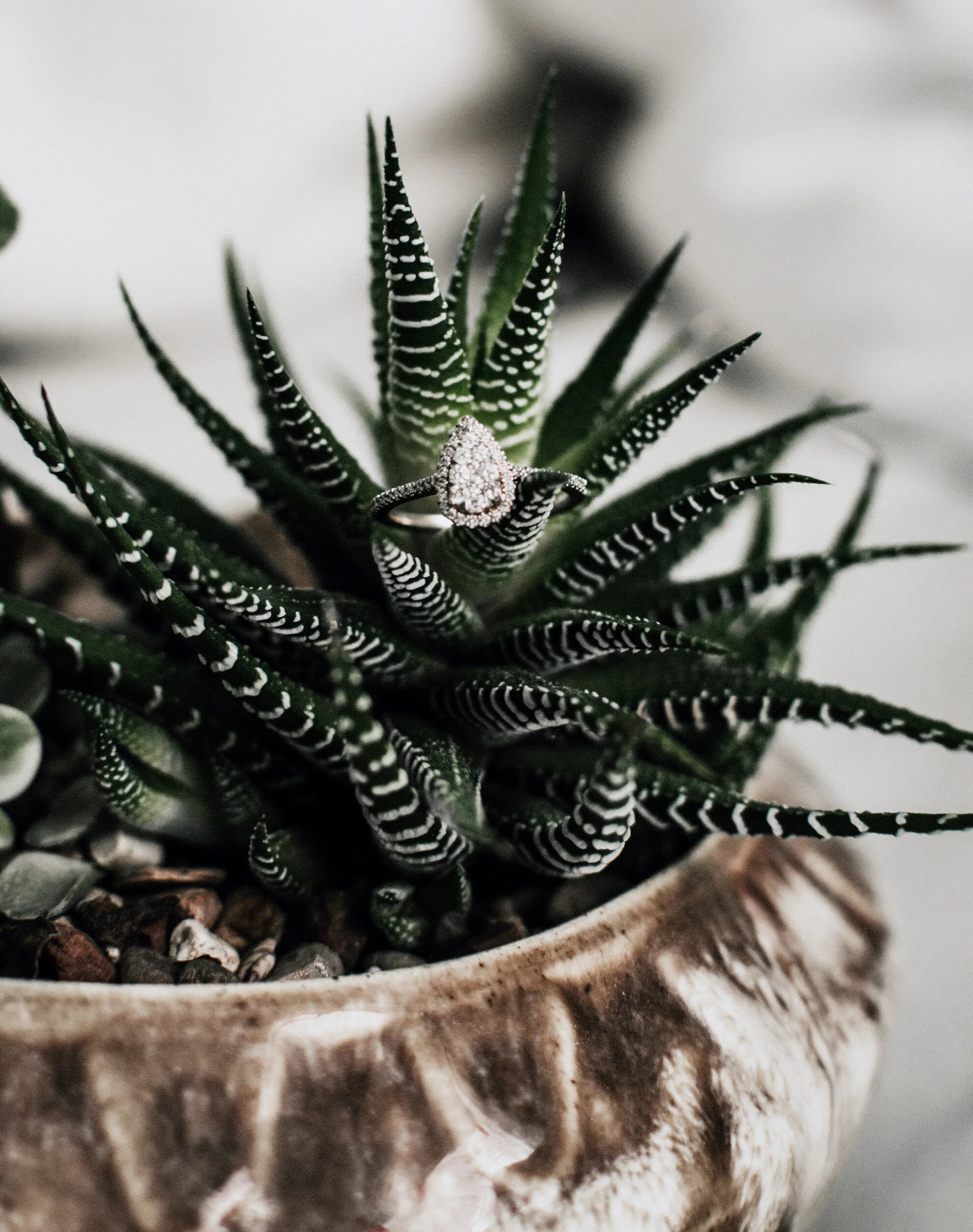 jessica-castro-392161-unsplash.jpg