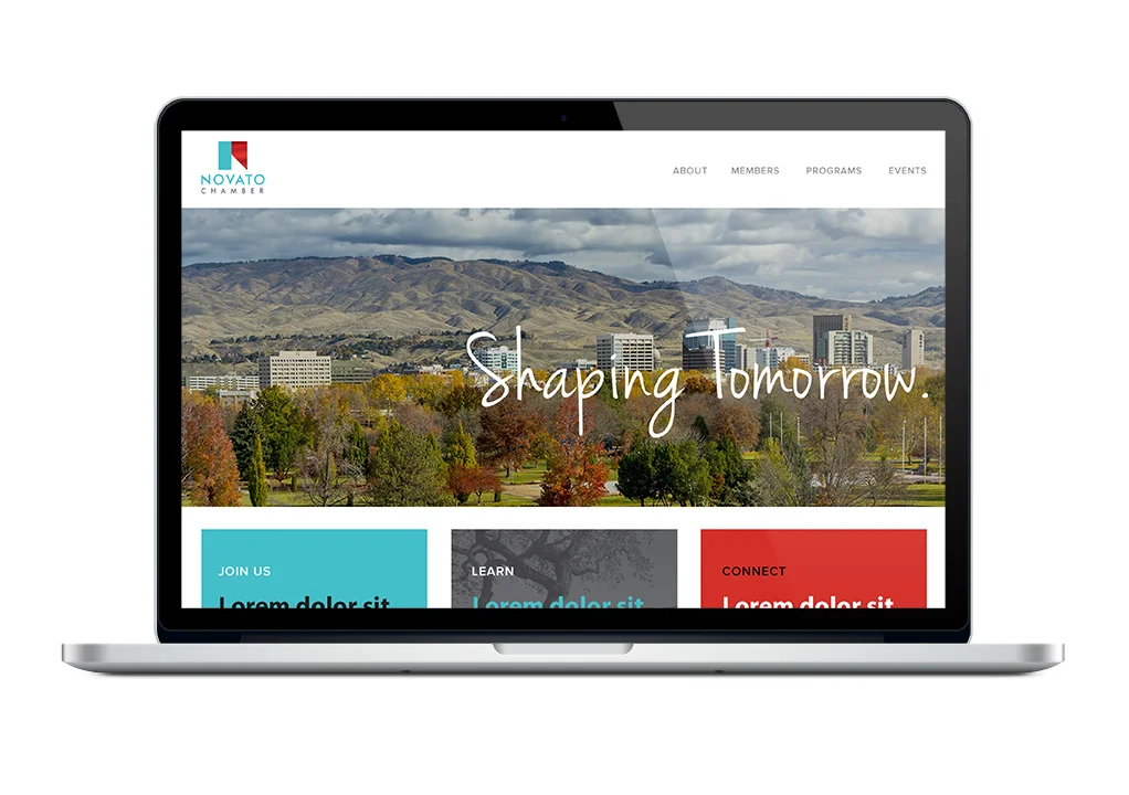 Web Mockup.jpg