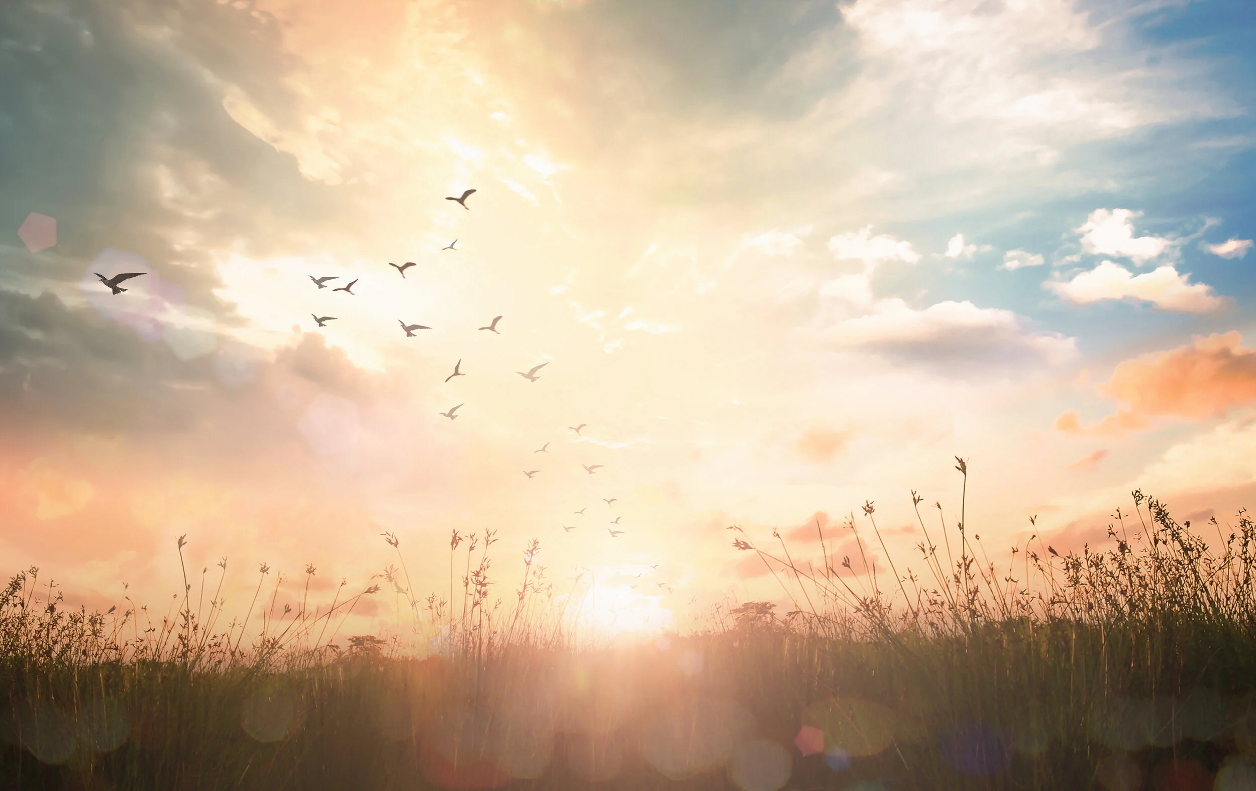 iStock-1177957564.jpg