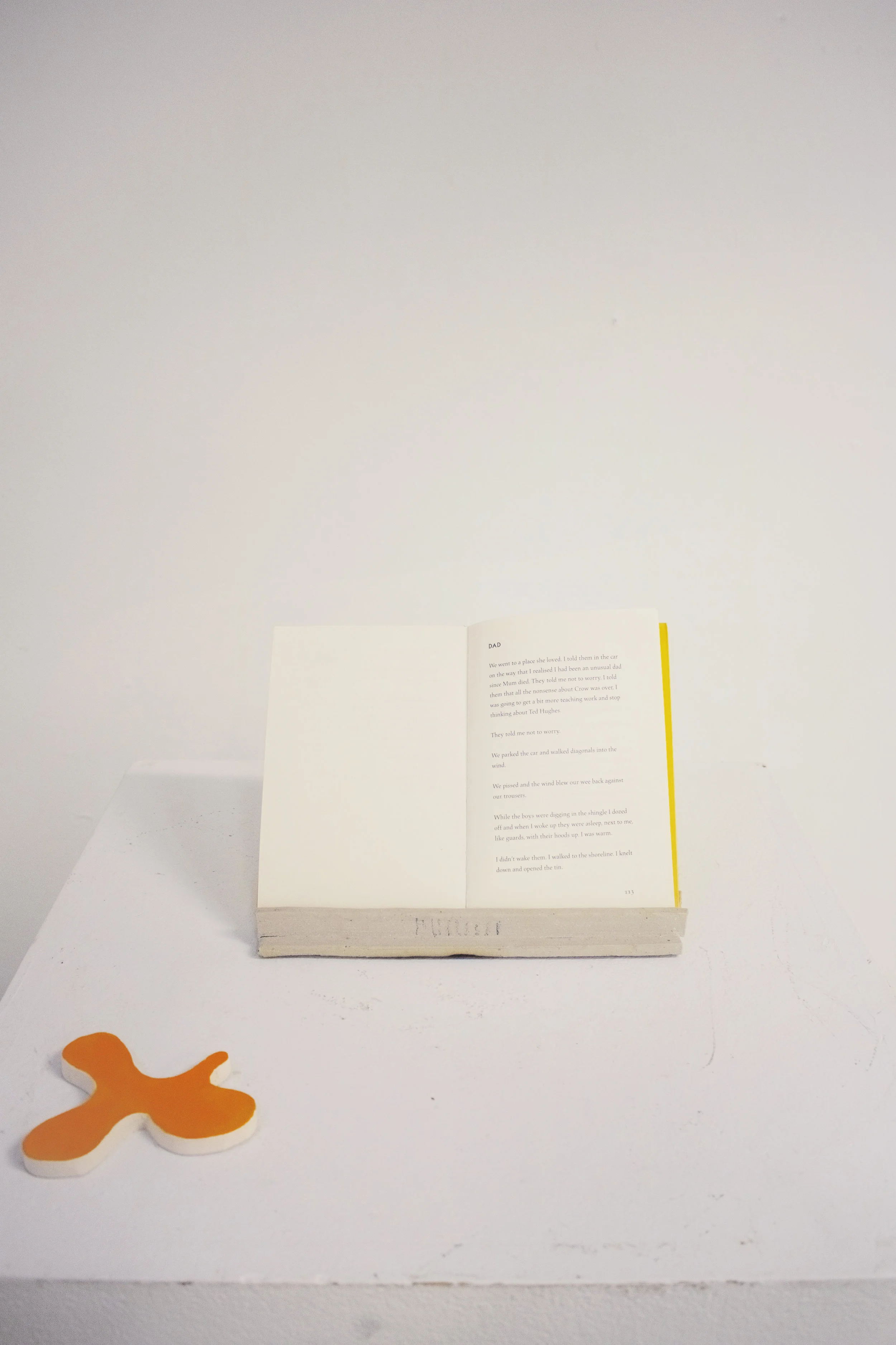 Ceramics, paint, page 113-114 of Grief is the Thing with Feathers by Max Porter