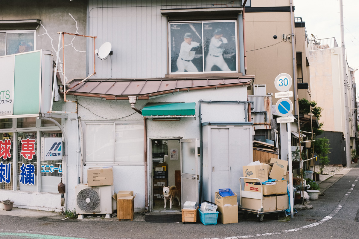 6月の岐阜(左の写真と同日)