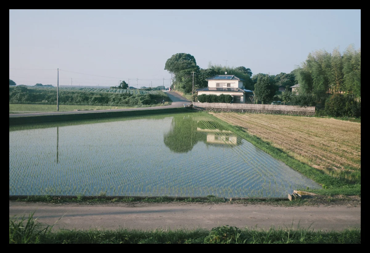 06.jpg