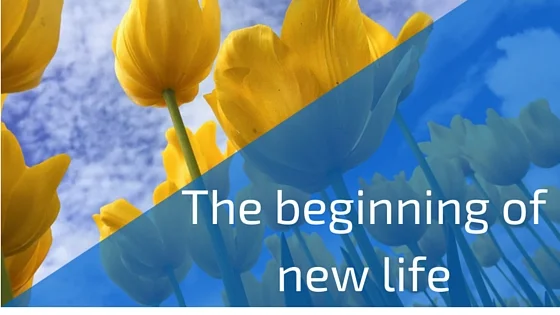 Navroz And Easter An Esoteric Comparison Ismaili Friends