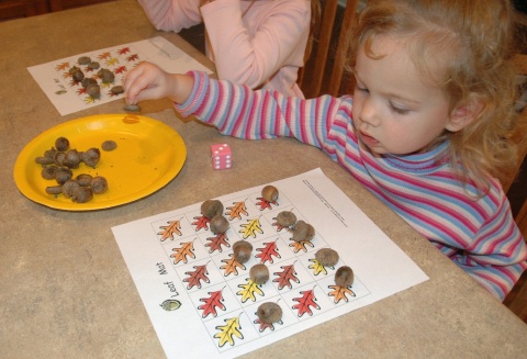 Counting Acorns on Leaf Mat