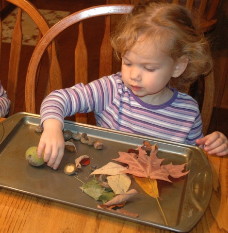 Sorting Fall Objects