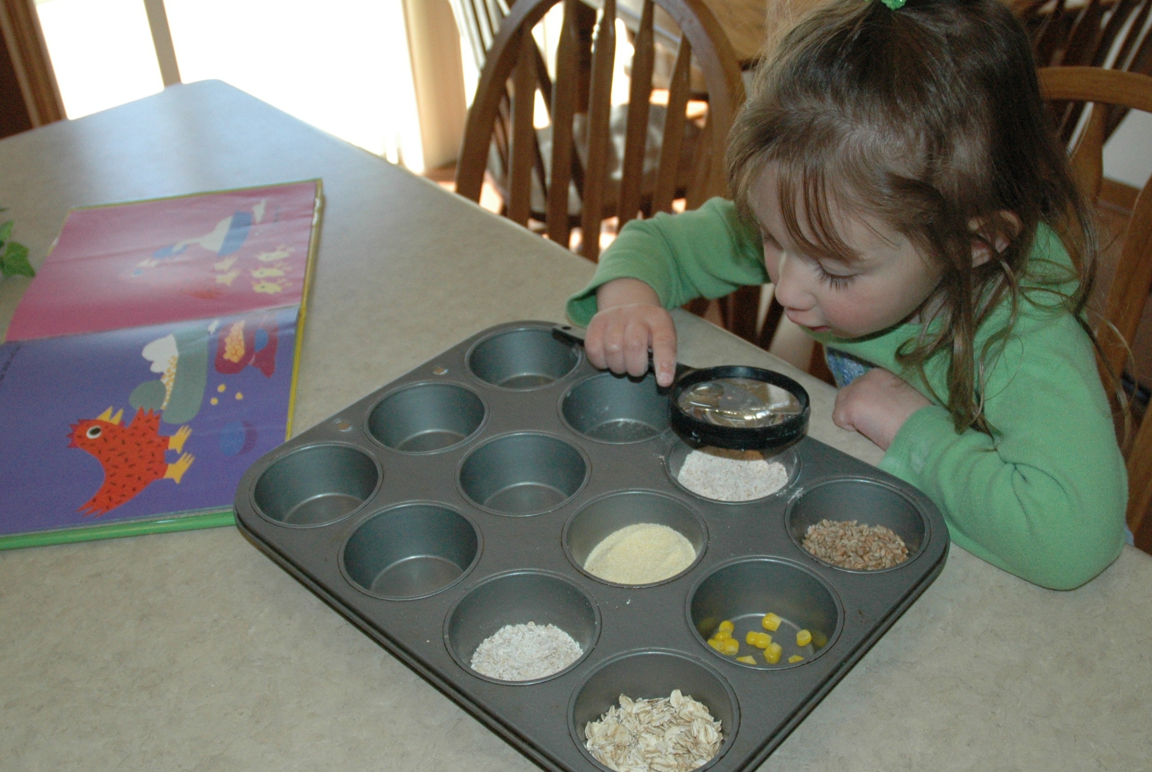 Examining Grains