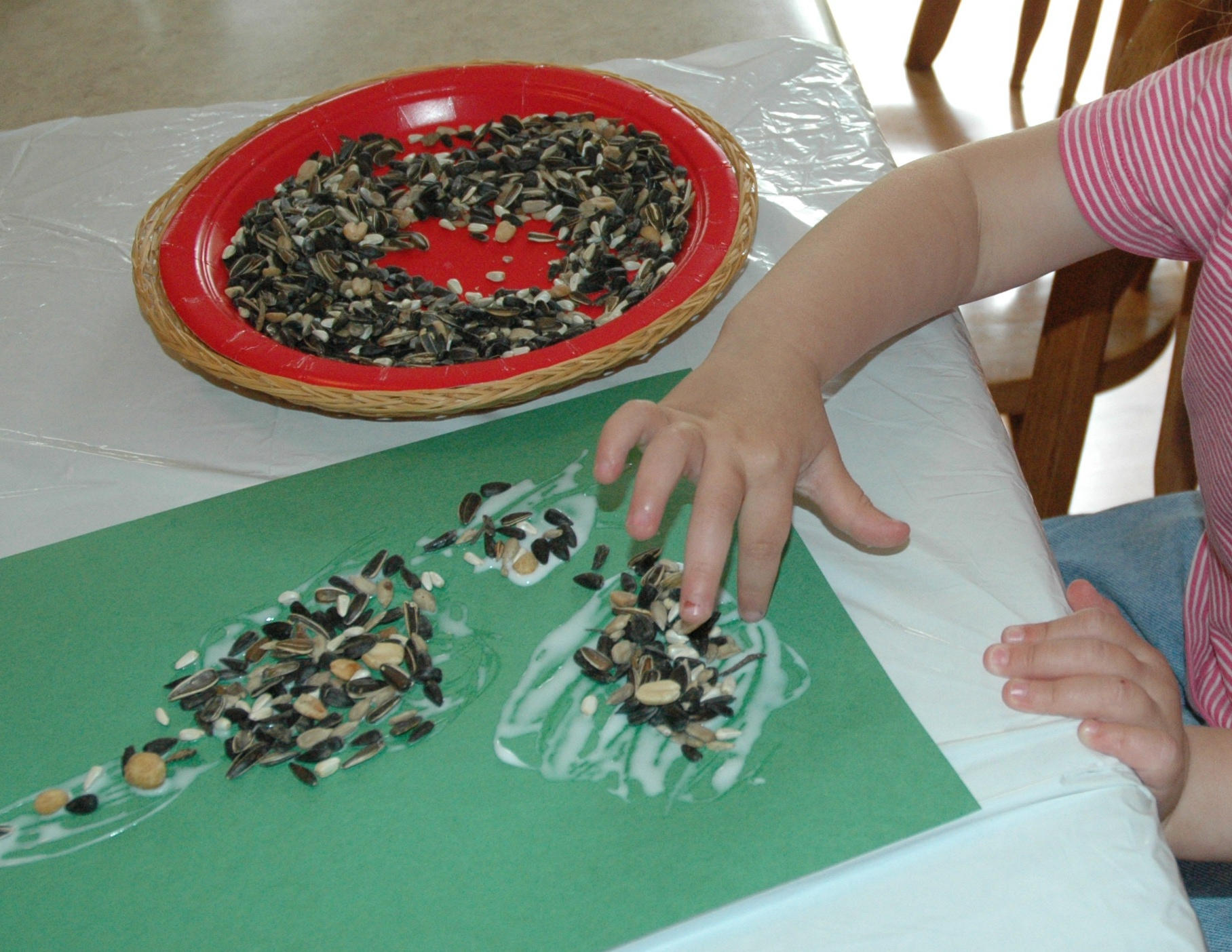 Bird Seed Collage