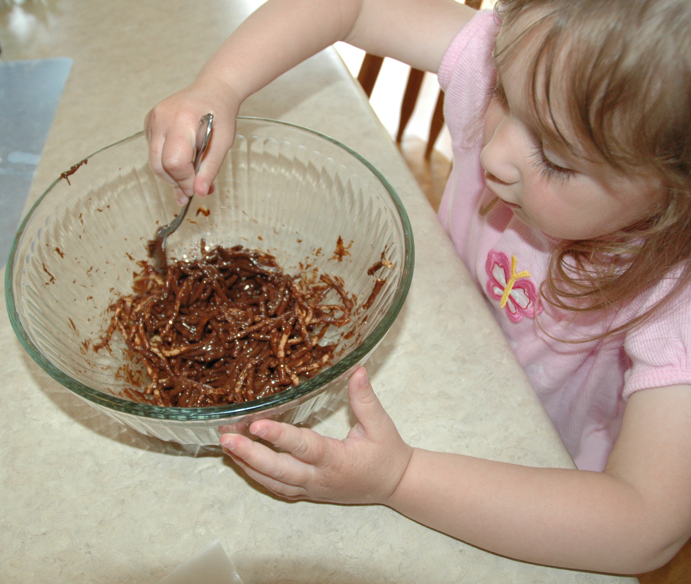 Edible Bird Nests