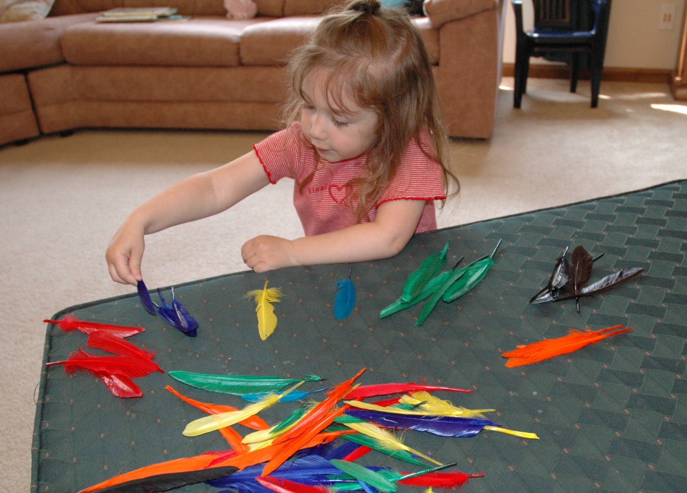 Sorting Feathers by Color