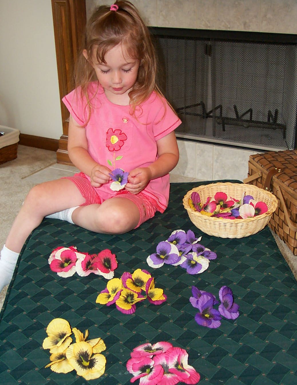 Sorting Flower Petals