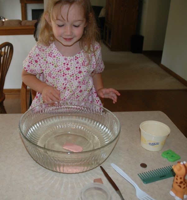 Float or Sink Experiment