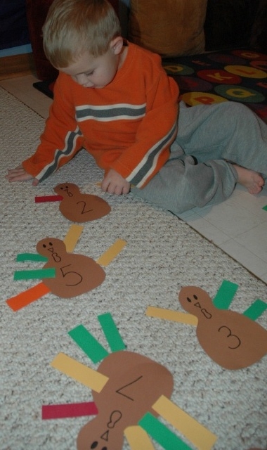 Turkey Feather Counting