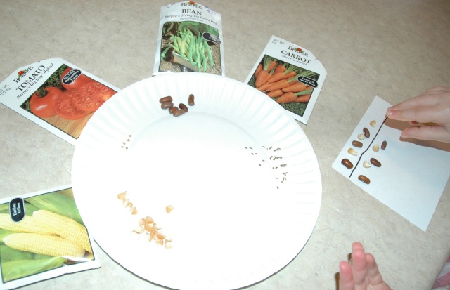 Sorting & Patterning Seeds