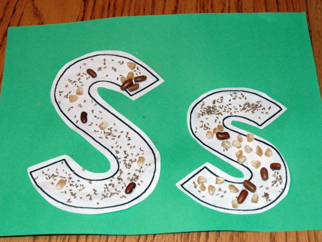 Seed Collage Ss Letter Art