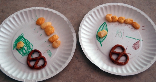 Edible Butterfly Life Cycle