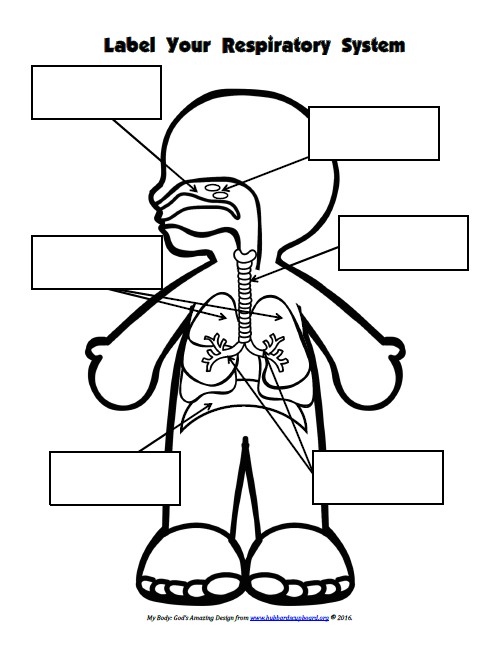 Body Notebook Labeling.png