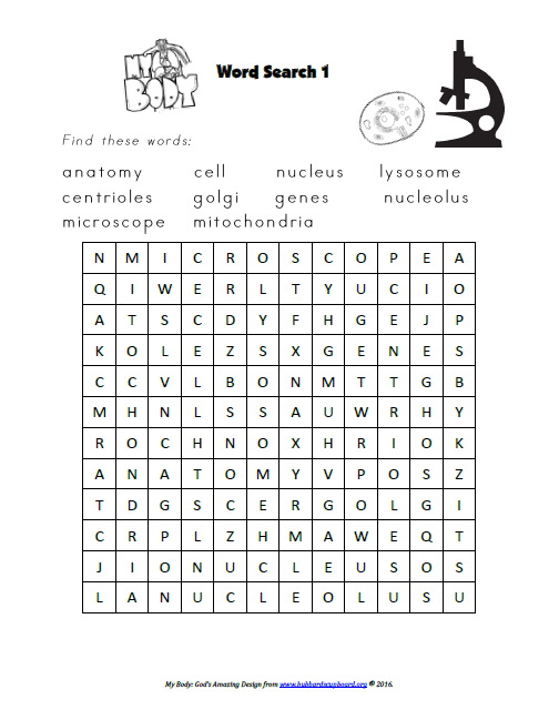 Body Notebook Word Search.png