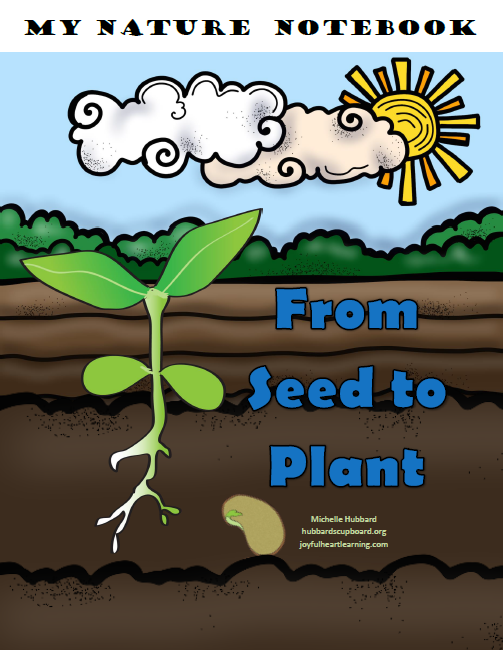 From Seed To Plant Cover.png