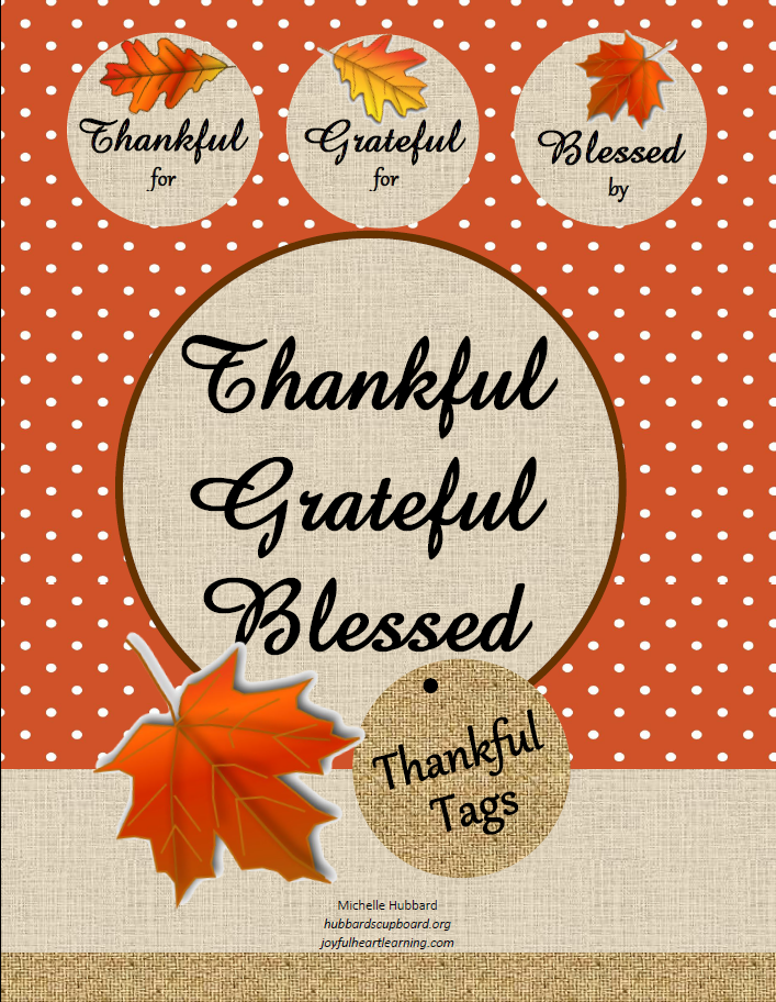 Thankful Grateful Blessed Cover.png