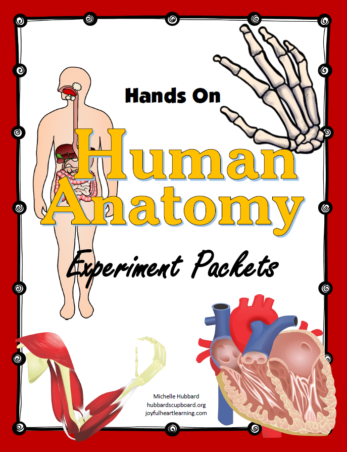 Human Anatomy Cover.png