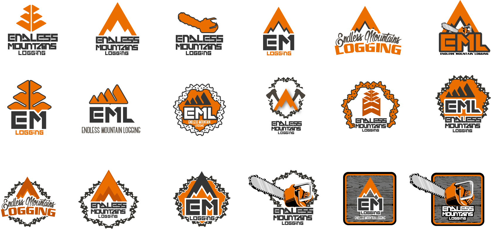 EndlessMTSLogging_LogoResearch_pg2.png